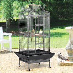 All living things atrium hotsell bird cage